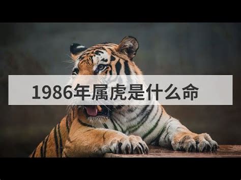 86年次